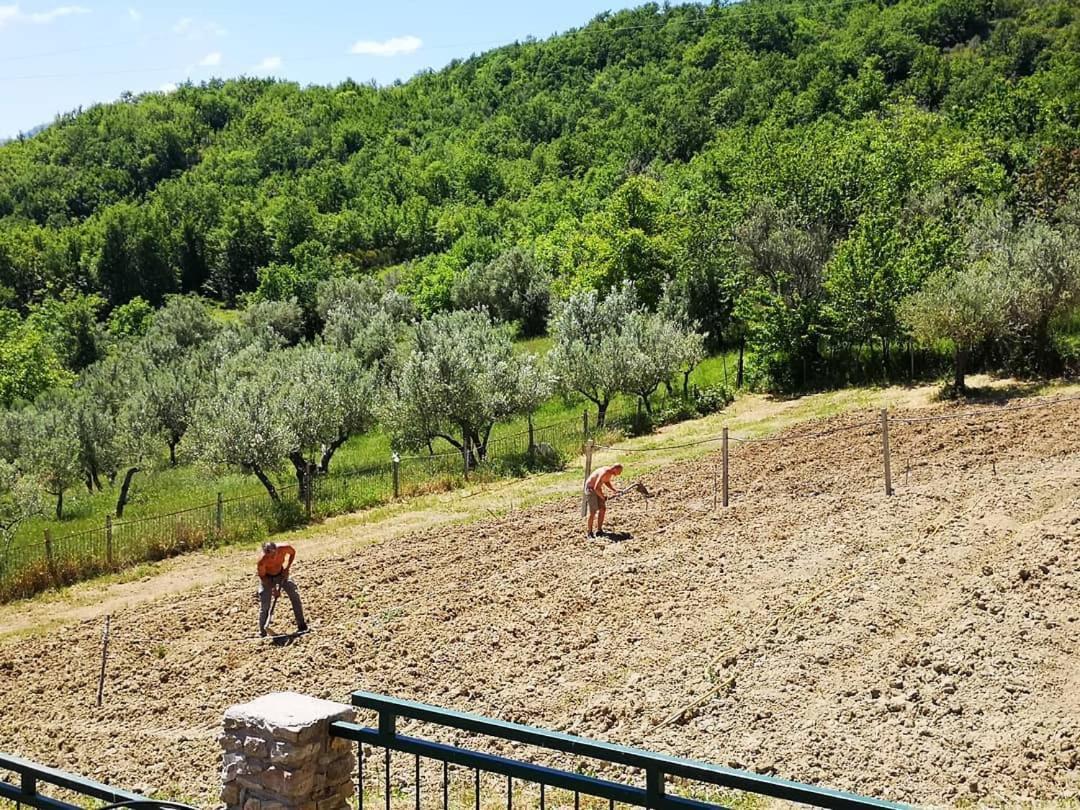 Agriturismo Olimpo Villa Santa Maria  Экстерьер фото