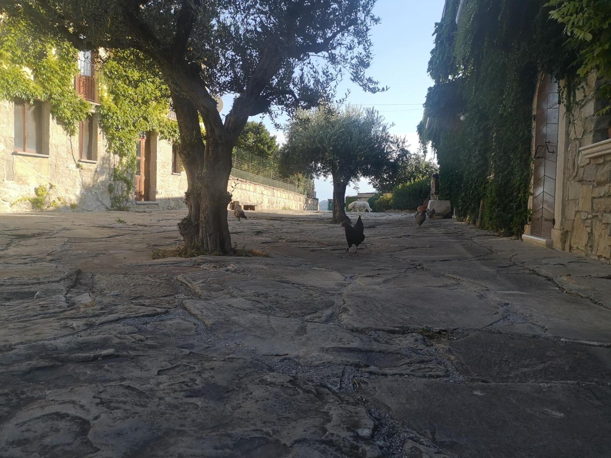 Agriturismo Olimpo Villa Santa Maria  Экстерьер фото